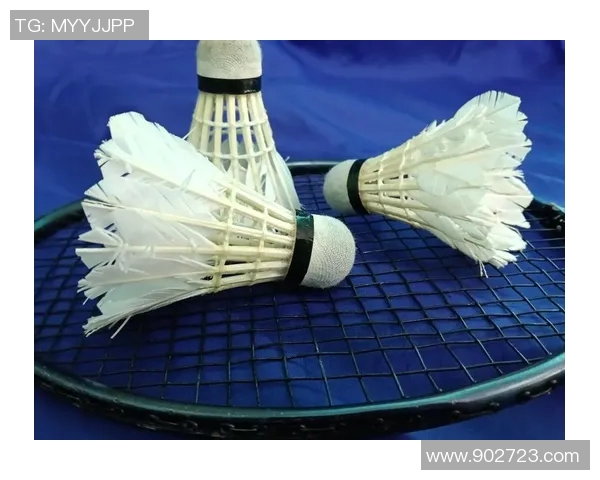 羽毛球新手必看:提升灵活性的全面入门指南与技巧分享 羽毛球新手必看:提升灵活性的全面入门指南与技巧分享