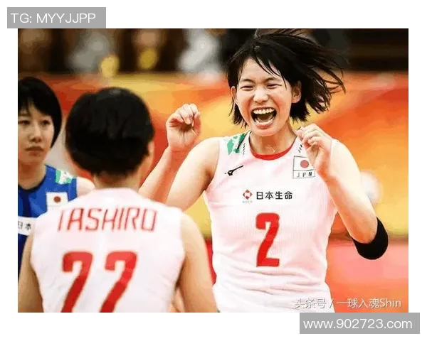 南京排球队技术争议引发热议球迷与专家观点交锋分析