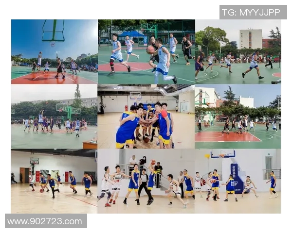 成都篮球队在全国篮球比赛经验排行榜中荣登第五名引发热议