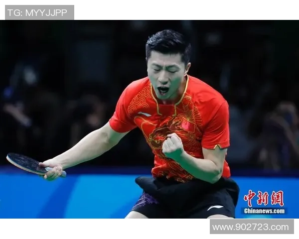 对话杨芳：回顾乒乓球生涯中的挑战与成就分享