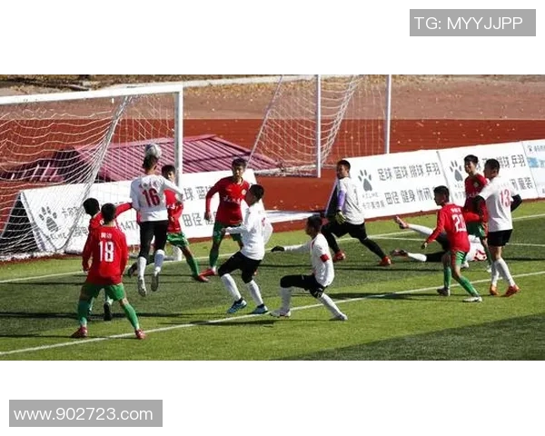 深度对话：刘静如何在足球世界中追寻梦想与成长之路