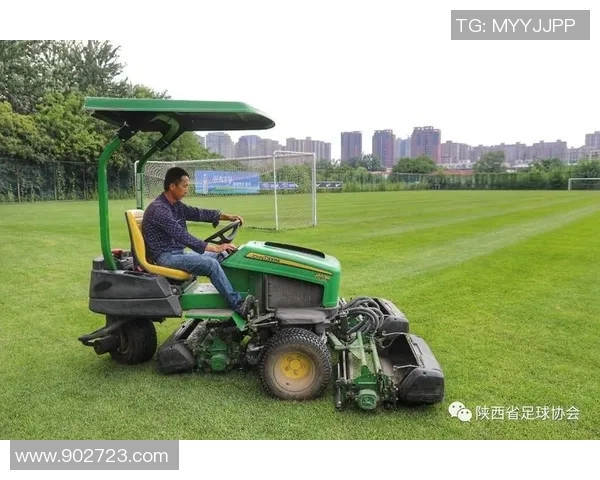 足球明星割草事件背后的故事与真相揭秘