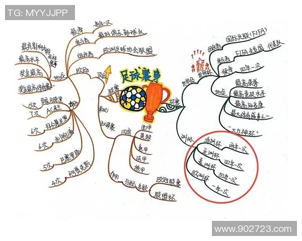 足球明星的专属姓氏与名字的女性化演变探讨与分析 足球明星的专属姓氏与名字的女性化演变探讨与分析