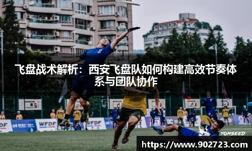 飞盘战术解析：西安飞盘队如何构建高效节奏体系与团队协作